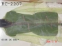 RC-2207
